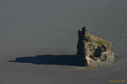 A solitary sentinal
