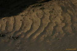 Patterns in the sand

