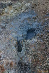 A shiny new mud pit
