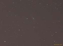 Andromeda
