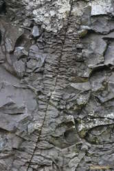 Neat fracture line
