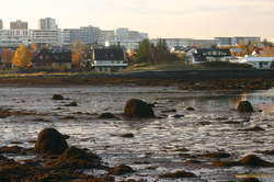 Low tide
