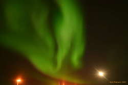 Aurora
