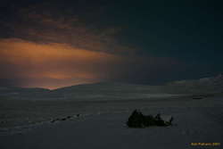 Yoko's light from the countryside
