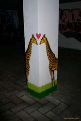 Girraffes in love
