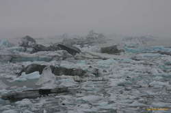 wet icebergs
