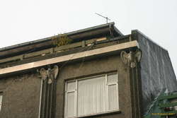 Eagles watching the street
