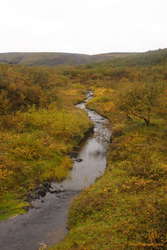 Autumn is here

