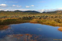 Pond and mountains
