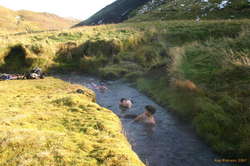 Lounging in the stream
