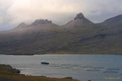 Fishfarms on tour in Berufjörður
