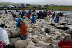 Everyone looking for their own tags
