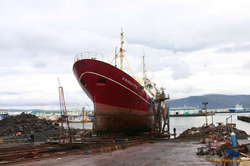 Sigurður rising out of the sea
