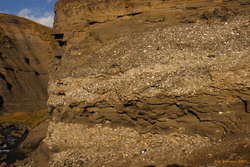 Fossil layers
