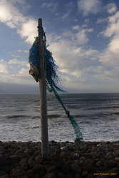 Beach sculptures
