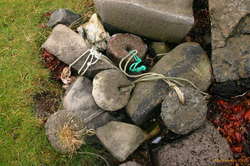 Old anchors
