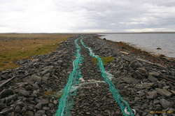 Follow the green net road
