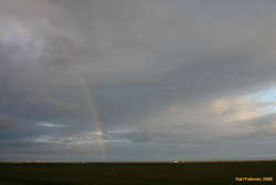 Rainbows!
