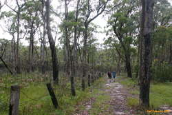 Following an old road
