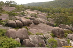 Granite slabs
