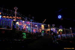 Plenty of lights
