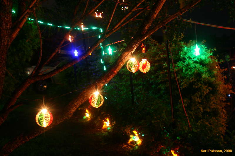 Carina Christmas lights
