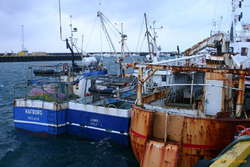 Sandgerði harbour
