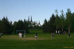 Soccer nets for sight screens
