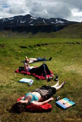 Dozing in the tranquility
