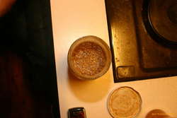 Yeasty goodness
