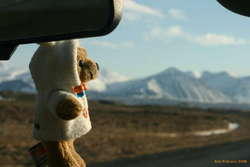 Look! Mountains!
