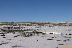 Picnic ground?
