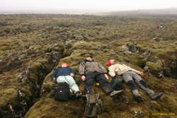 Sleeping with the elves
