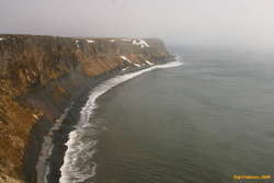 Cool seacliffs at Króksbjarg
