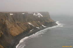 Cool cliffs at Króksbjarg
