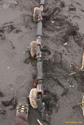 Odd flotsam view 2
