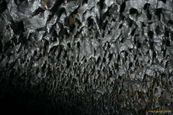 Drippy roof 
