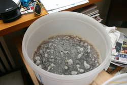 Beer infection :(
