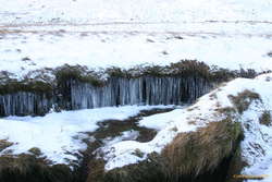 Icicles by the creek
