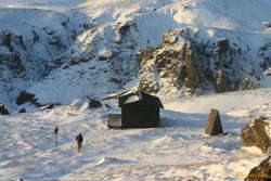 Logi returning to the cabin
