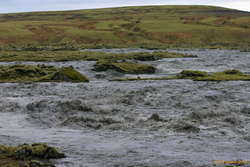 Pounding through, as far as you can see
