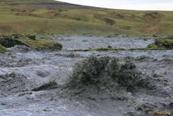 Wild water
