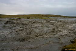 Thumping smelly river
