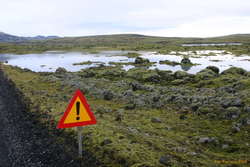 The water _just_ came up to the F208
