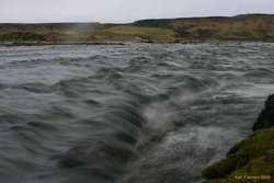 Busy water
