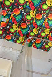 Shower roof
