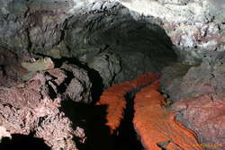 Red tunnel
