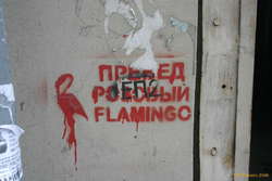 Save the pink flamingo
