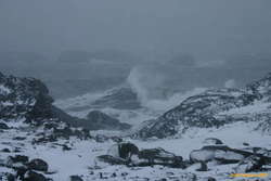 Wind blown waves
