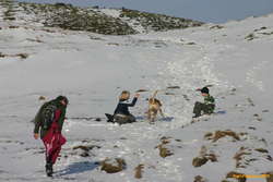 Playing in the snow
